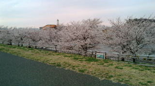 戸田公園