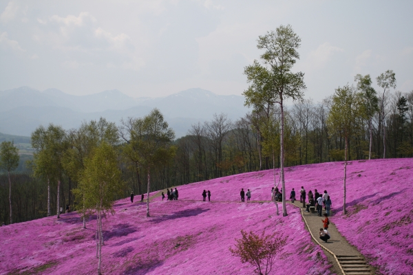 滝上公園