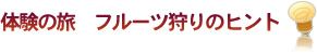 体験の旅　フルーツ狩りのヒント