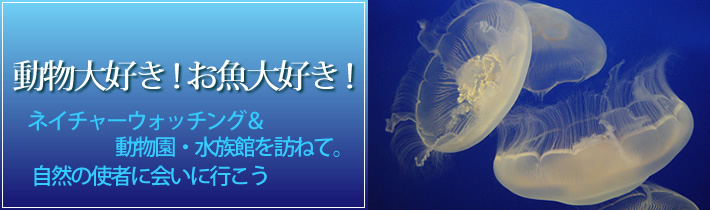 動物大好き！お魚大好き！ネイチャーウォッチング＆動物園・水族館を訪ねて。自然の使者に会いに行こう