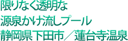 限りなく透明な源泉かけ流しプール 静岡県下田市/蓮台寺温泉