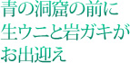 青の洞窟の前に生ウニと岩ガキがお出迎え