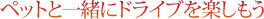 ペットと一緒にドライブを楽しもう