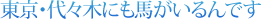 東京・代々木にも馬がいるんです