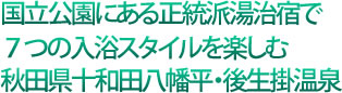 国立公園にある正統派湯治宿で7つの入浴スタイルを楽しむ 秋田県十和田八幡平・後生掛温泉