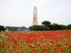 ひたちなか海浜公園・新しい国営公園