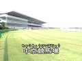 中京競馬場